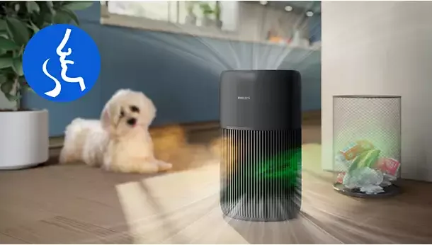 Active carbon layer reduces household odours