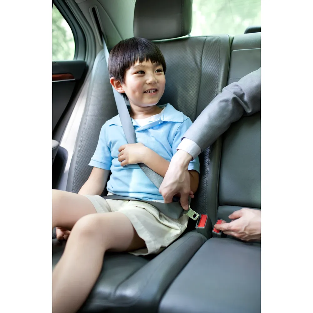 Philips GoPure GP5211 Car Air Purifier photo 6
