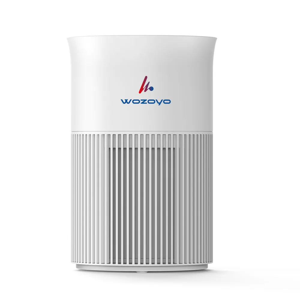 Wozoyo Pure Air PA1 Air Purifier