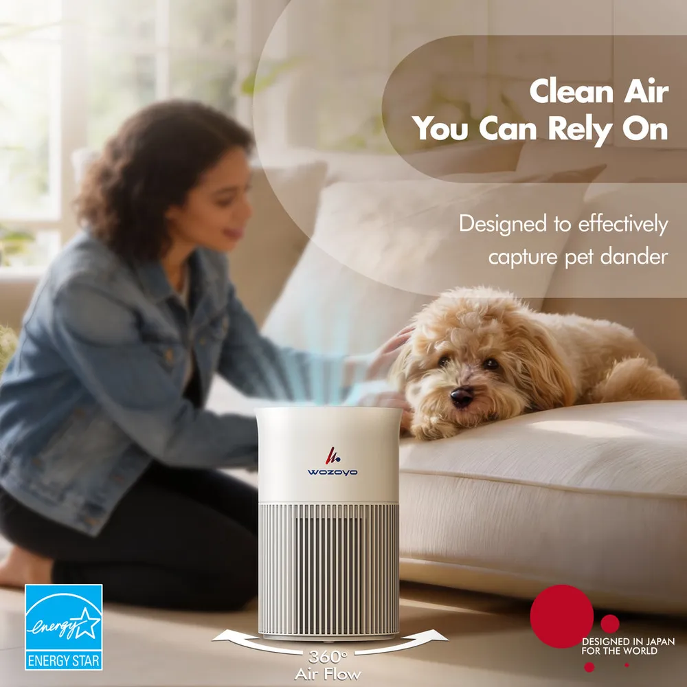 Wozoyo Pure Air PA1 Air Purifier photo 2